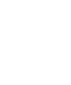 Apogee Steel